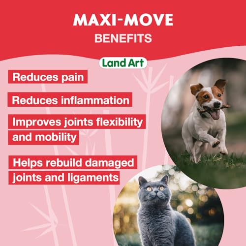 Maxi-Move - Image 7