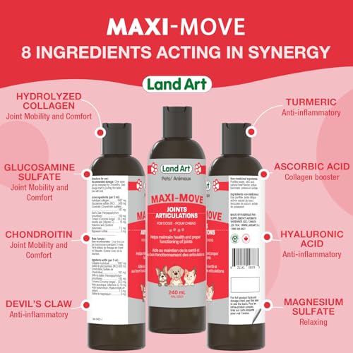 Maxi-Move - Image 4