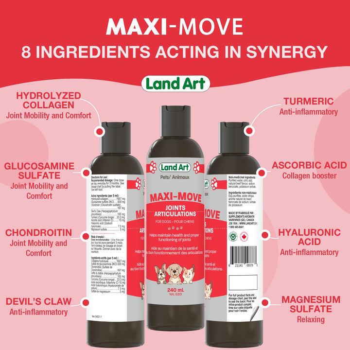 Maxi-Move - Image 6