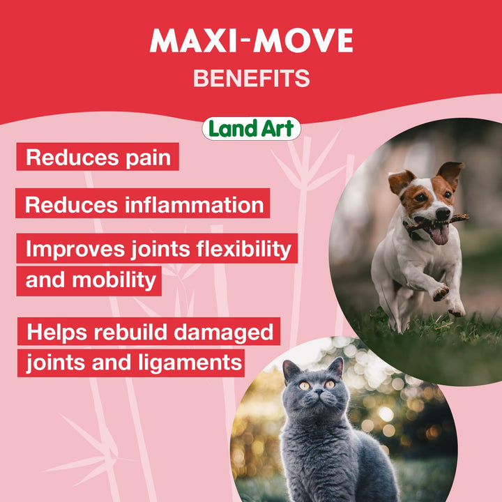 Maxi-Move - Image 9