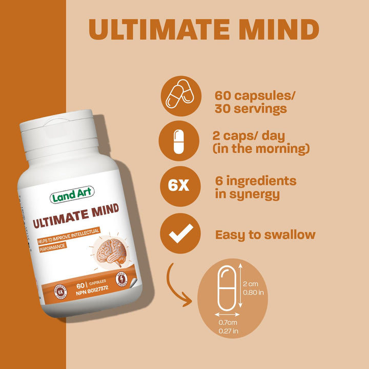 Ultimate Mind - Image 4