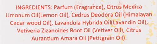 Tonka Vetiver Perfume - Image 8