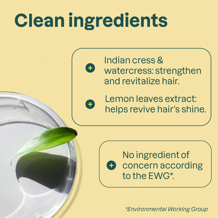 Deodorant - Lemon Leaves - Image 10