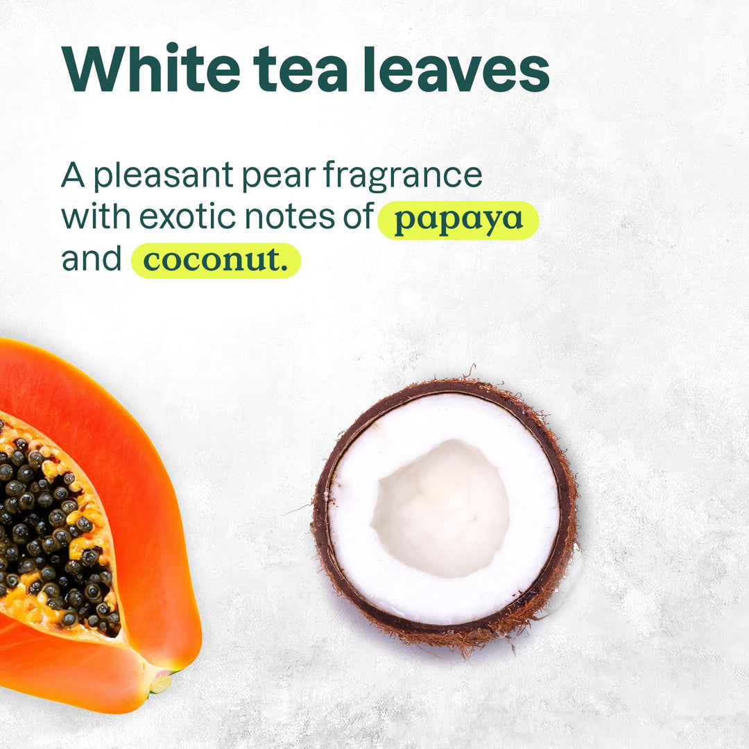 Hand Soap - White Tea Leaves - Image 10