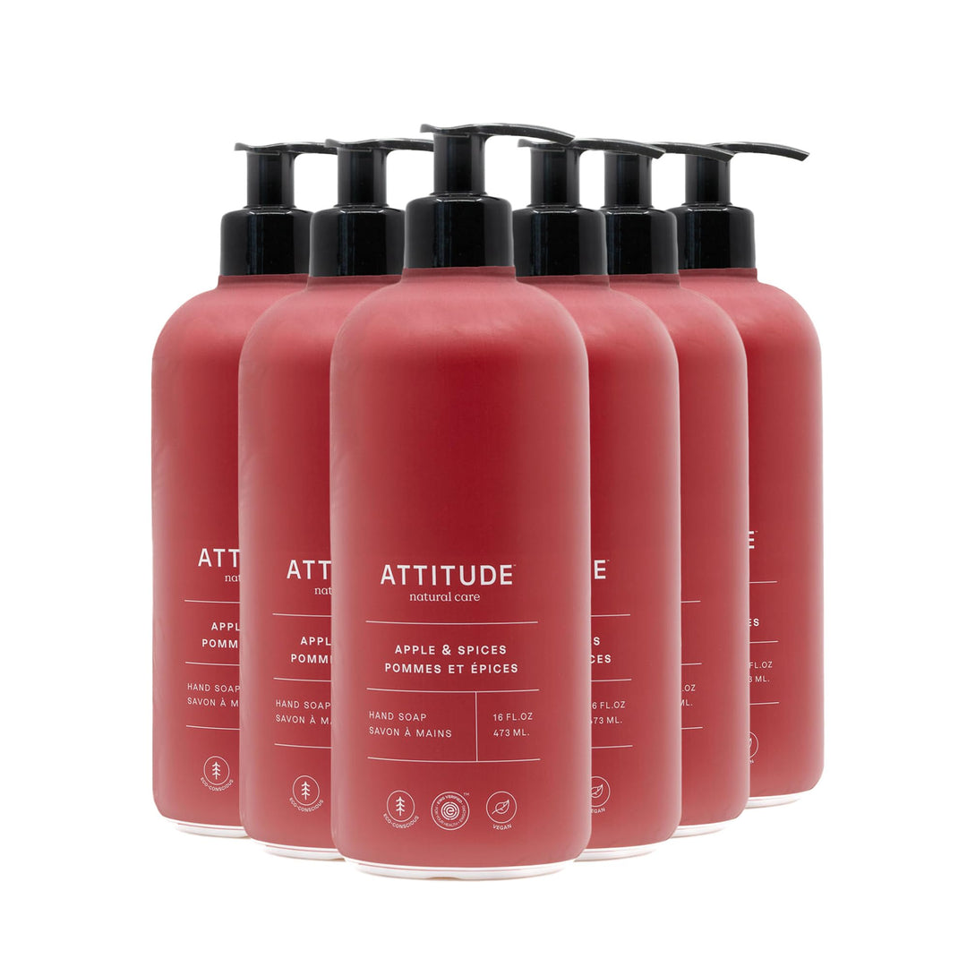 Hand Soap - Apple & Spices - Image 1