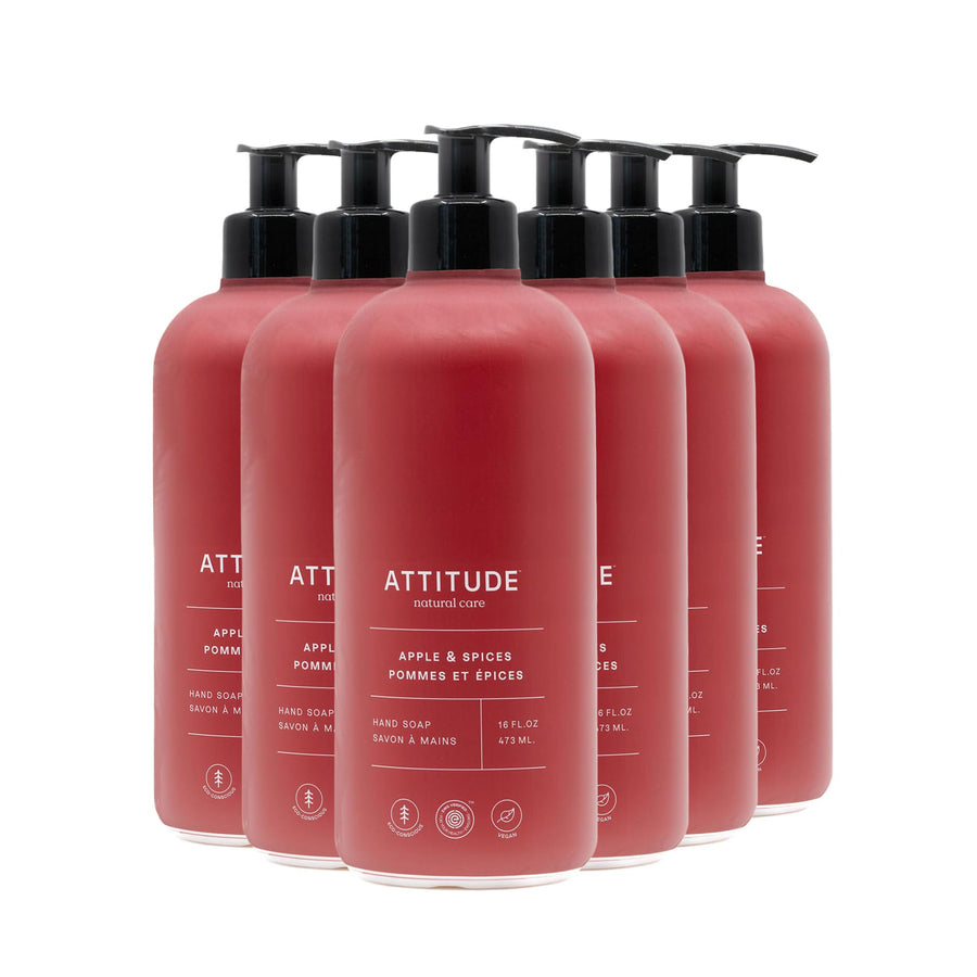 Hand Soap - Apple & Spices - Image 1