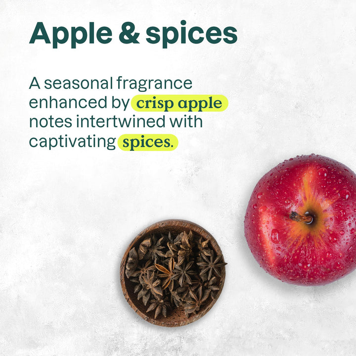 Hand Soap - Apple & Spices - Image 10