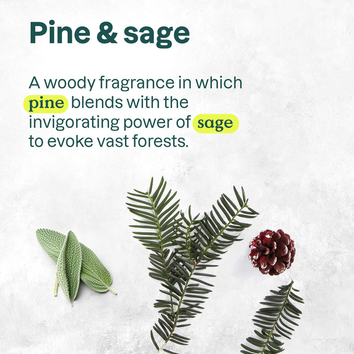 Hand Soap - Pine & Sage - Image 10