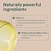 Dry Body Oil Stick - Sandalwood - Image 9