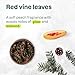 Body Lotion - Red Vine Leaves - Image 6