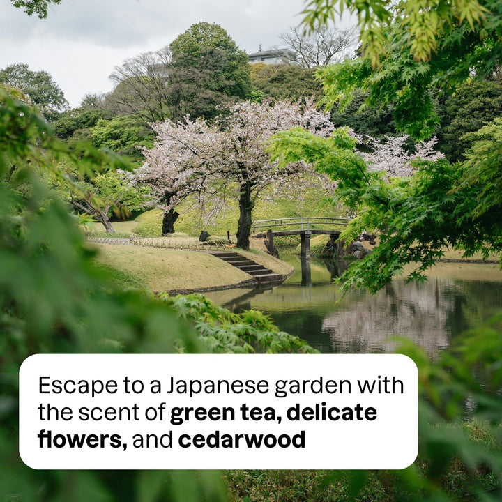 Ambient Spray - Japanese Garden - Image 7