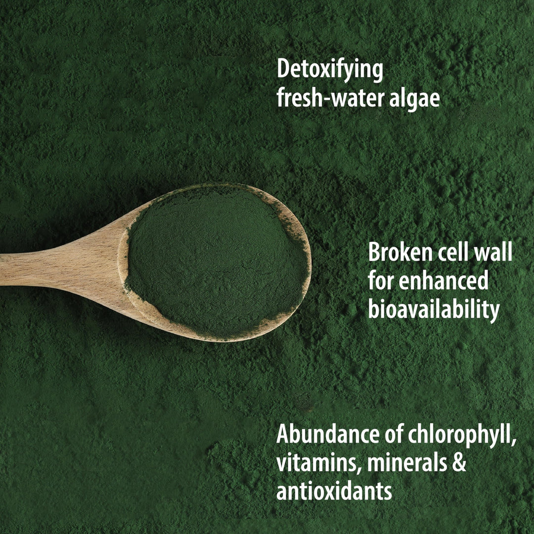 Chlorella Powder - Image 9