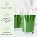Wheat Grass Juice Powder - Image 8