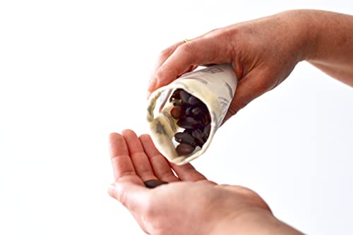 Roasted Baru Seeds - Image 10