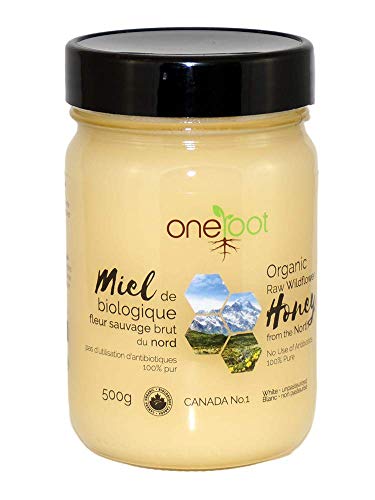 Organic Raw Wildflower Honey - Image 2