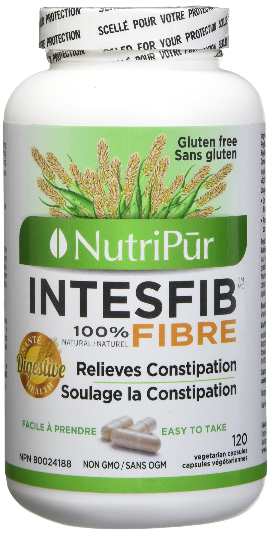 Intesfib - Image 1