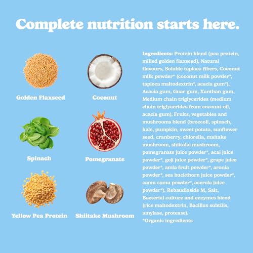 Vanilla Milkshake - Image 7