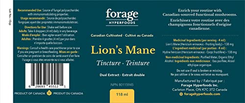 Lion's Mane Tincture - Original - Image 10