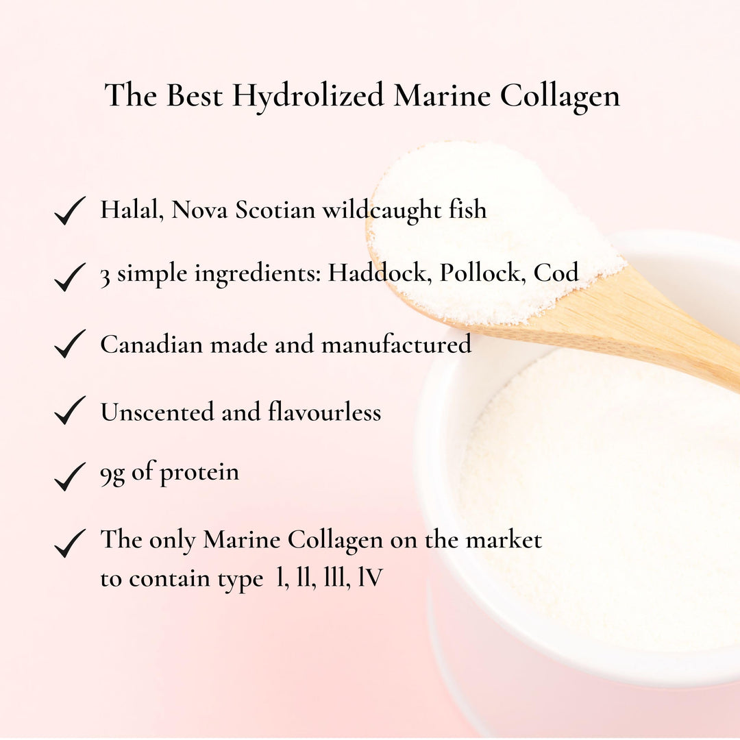 Hydrolyzed Marine Collagen - Image 7