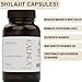 Shilajit Capsules - Image 8