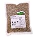 Organic fennel Seed - Image 3