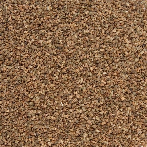 Organic Celery Seed Whole - Image 4