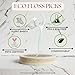Eco Floss Picks - FRESH MINT - Image 9