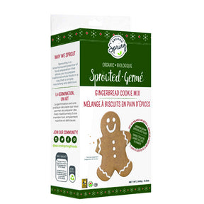 Organic Sprouted Gingerbread Cookie - Image 1