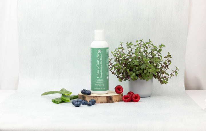 Hydrate Shampoo - Image 4