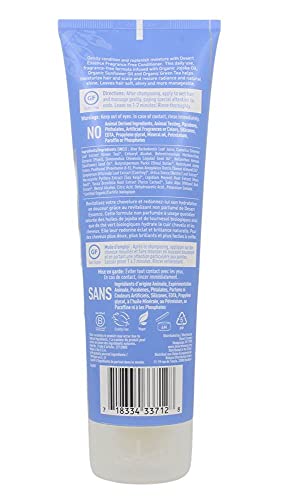 Fragrance Free Conditioner - Image 4
