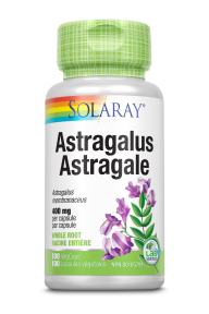 Astragalus - Image 1