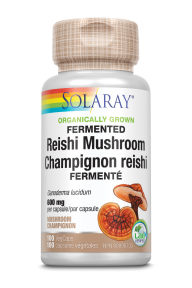 Reishi Mushroom - Image 2