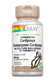 Fermented Cordyceps Mushroom - Image 1