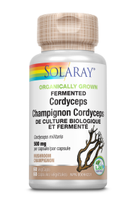 Fermented Cordyceps Mushroom - Image 3