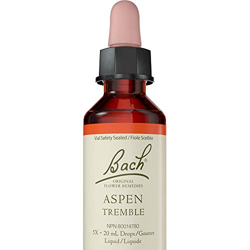 Aspen - Image 2
