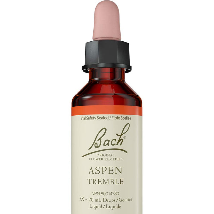 Aspen - Image 1