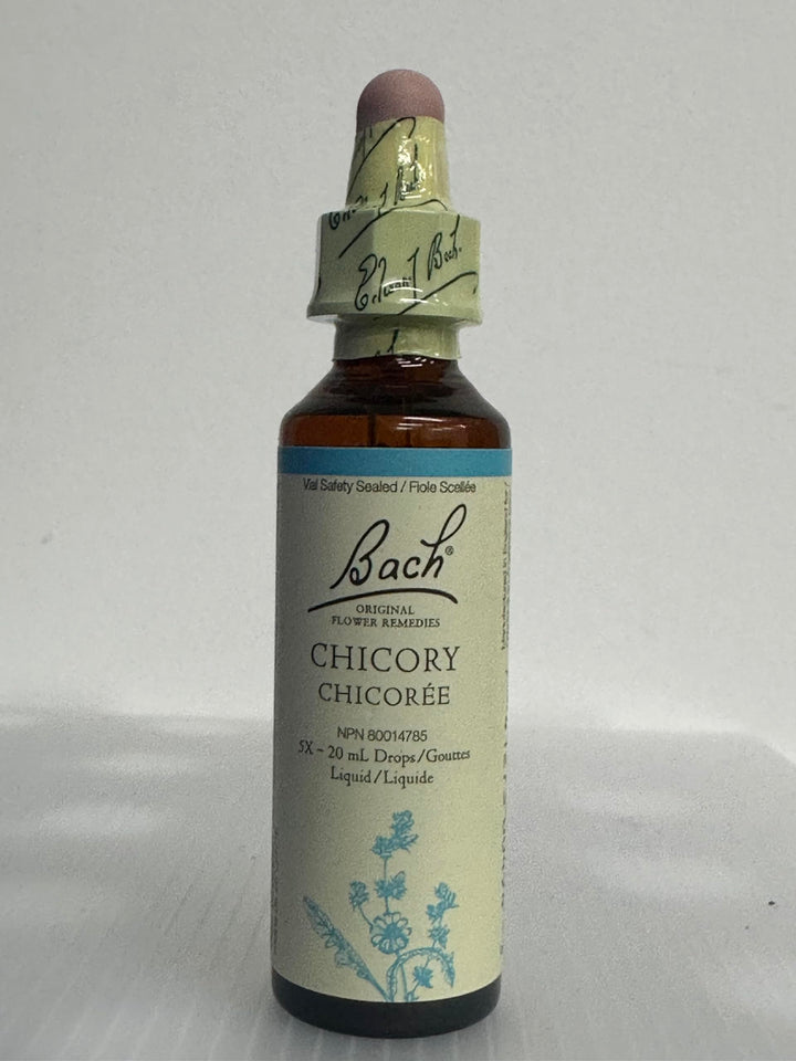 Chicory - Image 1