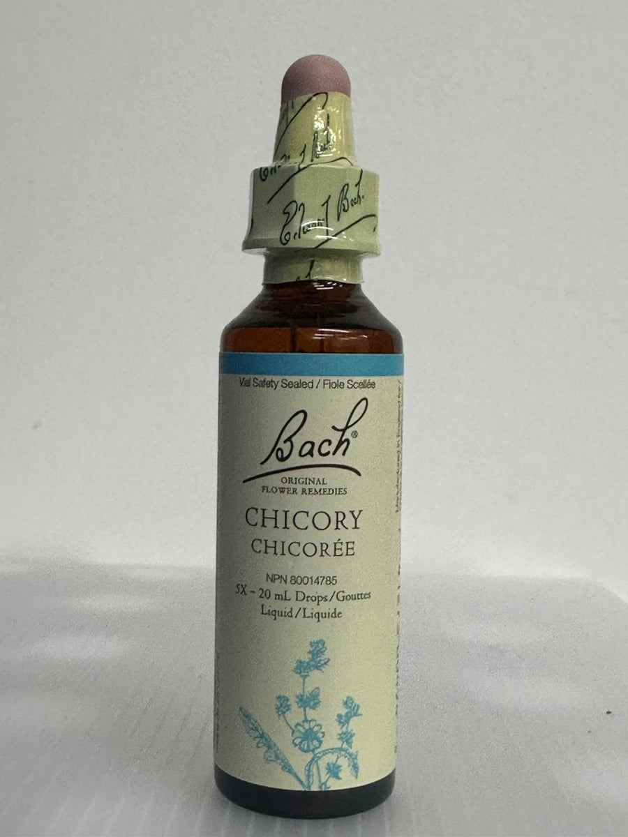 Chicory - Image 1