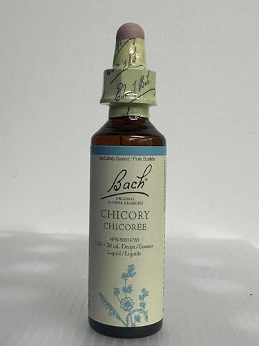 Chicory - Image 2