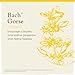 Gorse - Image 6