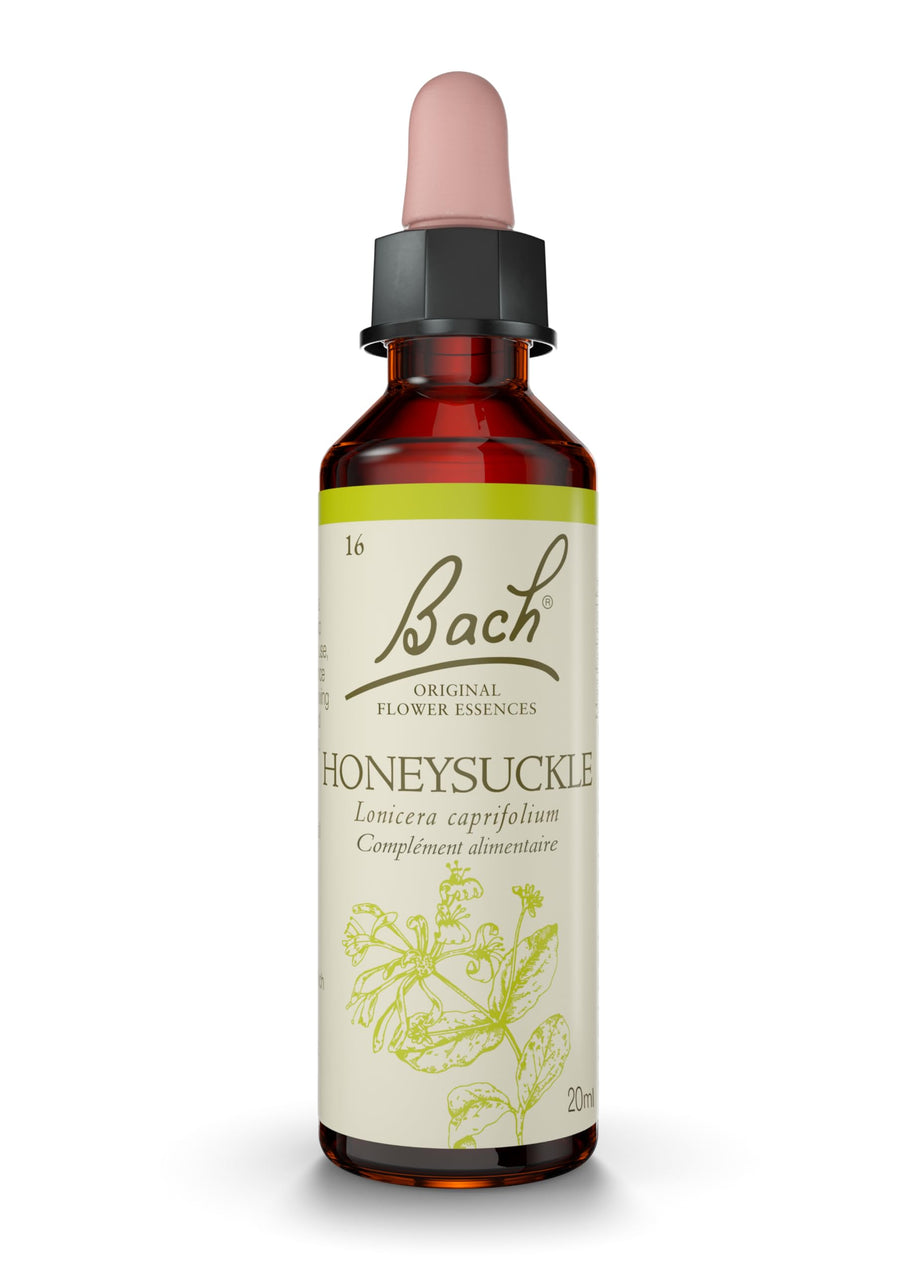Honeysuckle - Image 1