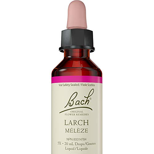 Larch - Image 2