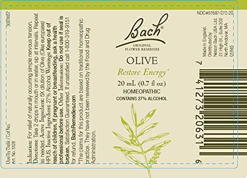 Olive - Image 7