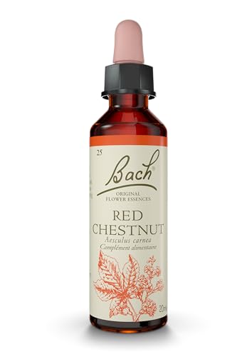 Red Chestnut - Image 2