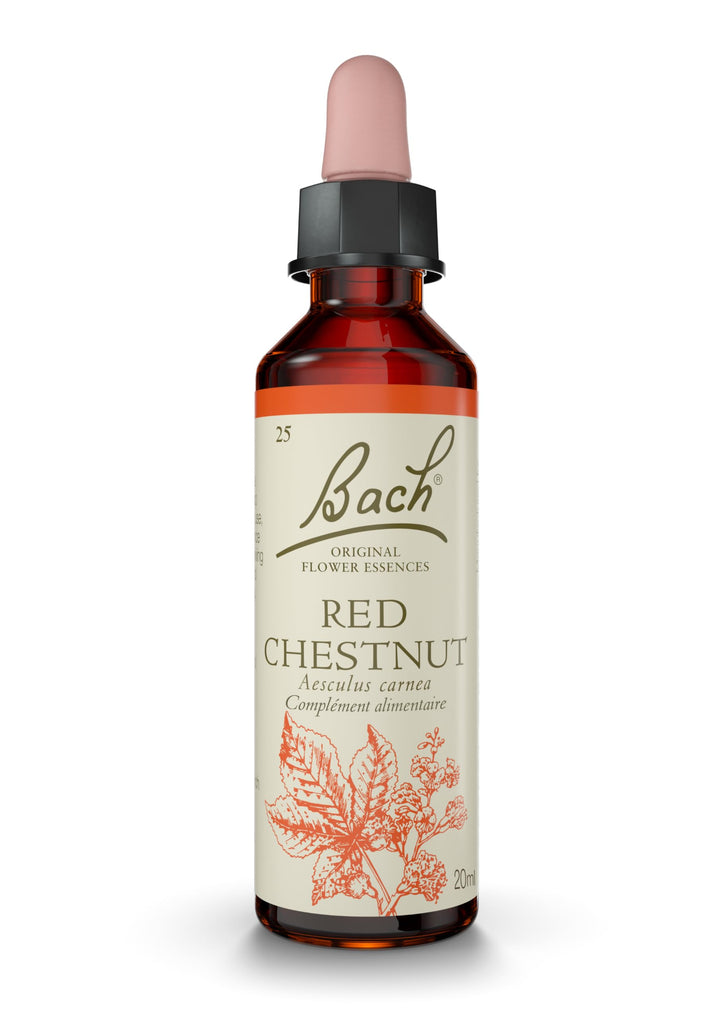 Red Chestnut - Image 1