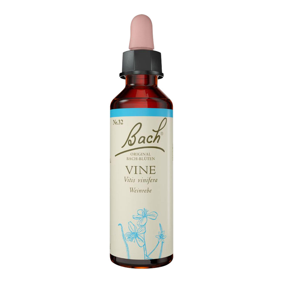 Vine - Image 1
