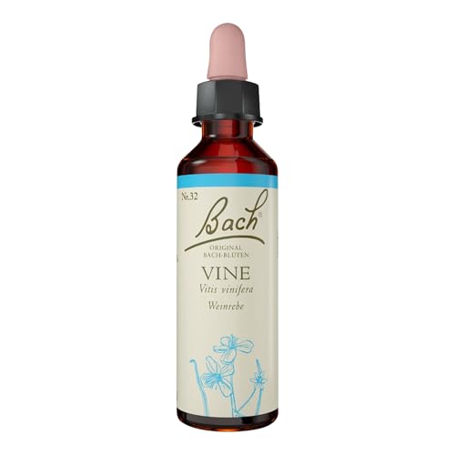 Vine - Image 2