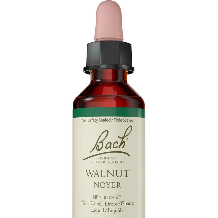 Walnut - Image 1