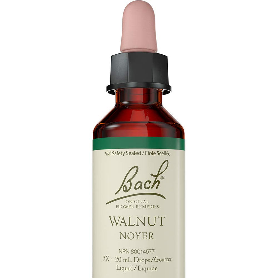 Walnut - Image 1