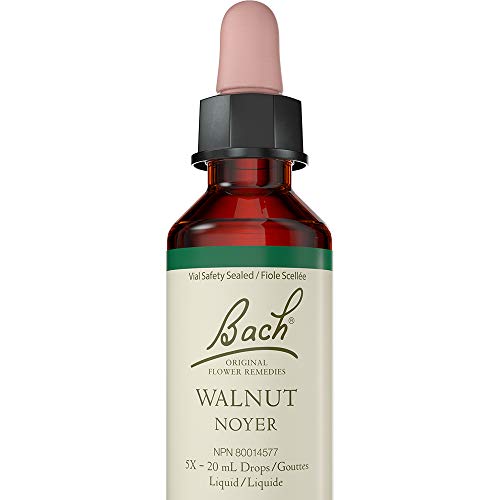 Walnut - Image 2